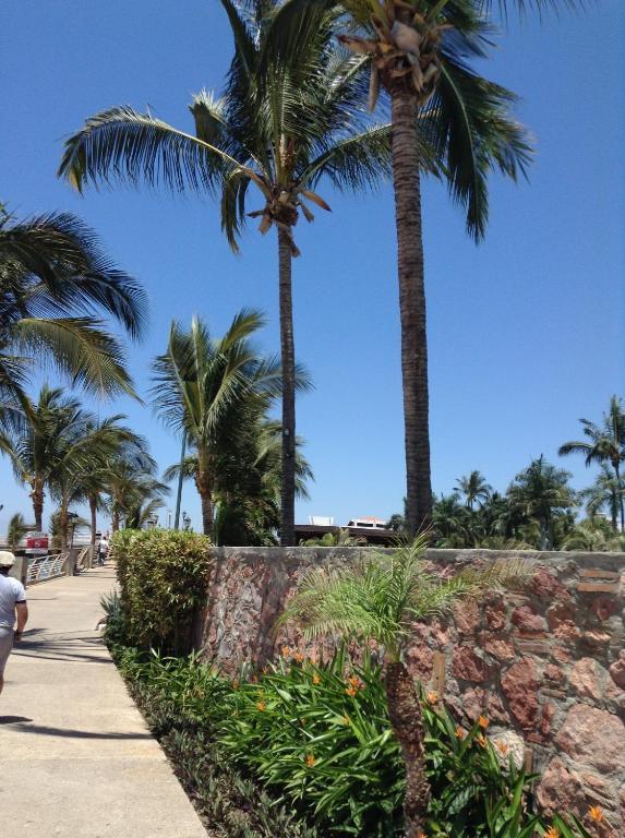 Hotel Molino De Agua Puerto Vallarta Exterior foto